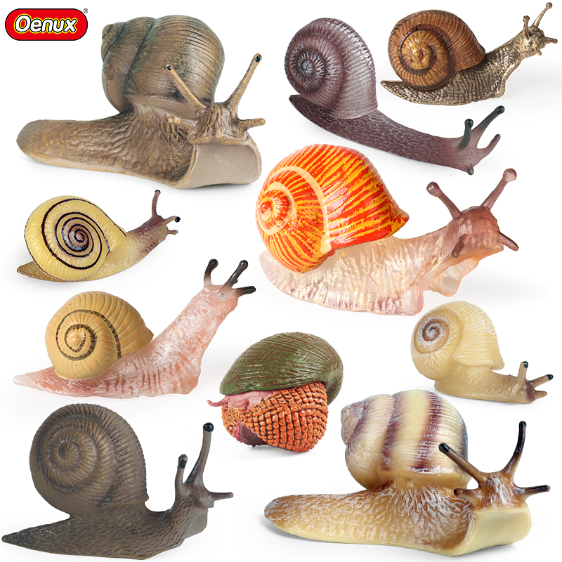 Gardening Tools Box - Oenux Wild Insect Animals Snails Growth
