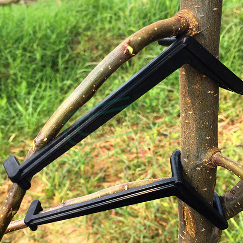 Root Watering Spike - 10-30Pcs Fruit Tree Clips Plant Vines