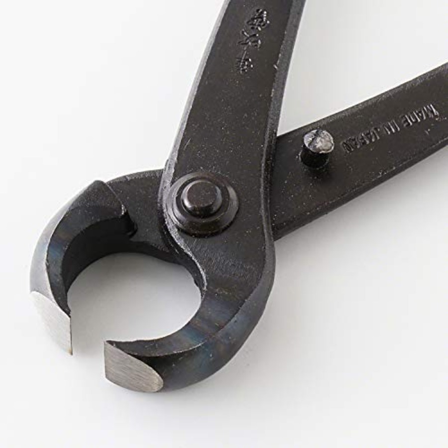Hand Forged Bonsai Tree Trunk  - Gardening Tools Made In Japan 리뷰 및 가격