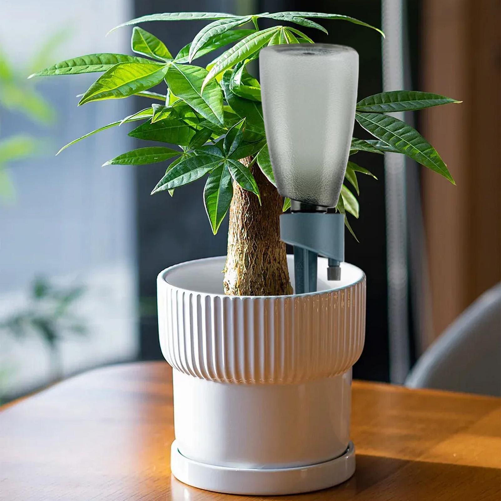 6pcs Automatic Waterer Househo - Root Watering Spike 리뷰 및 가격