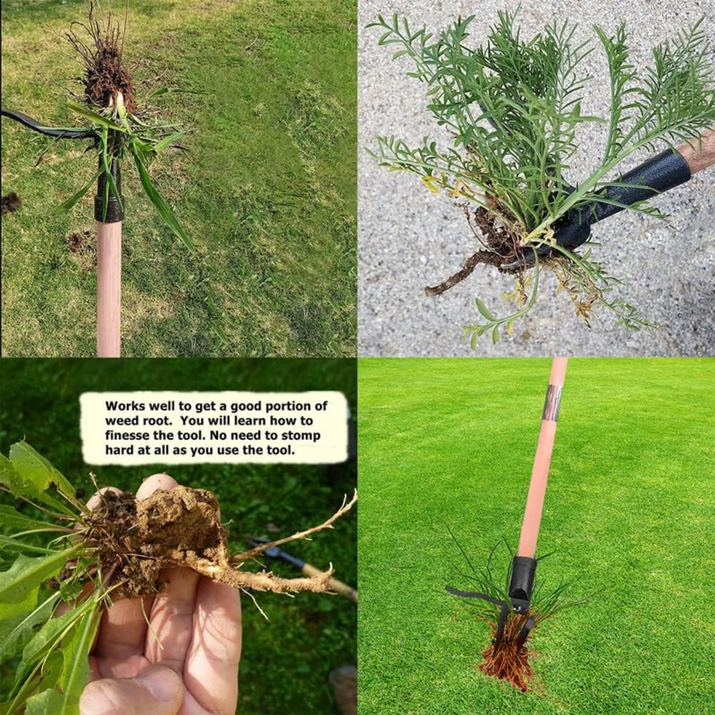 Stand Up Weed Puller Tool Deta - Weed Puller 리뷰 및 가격