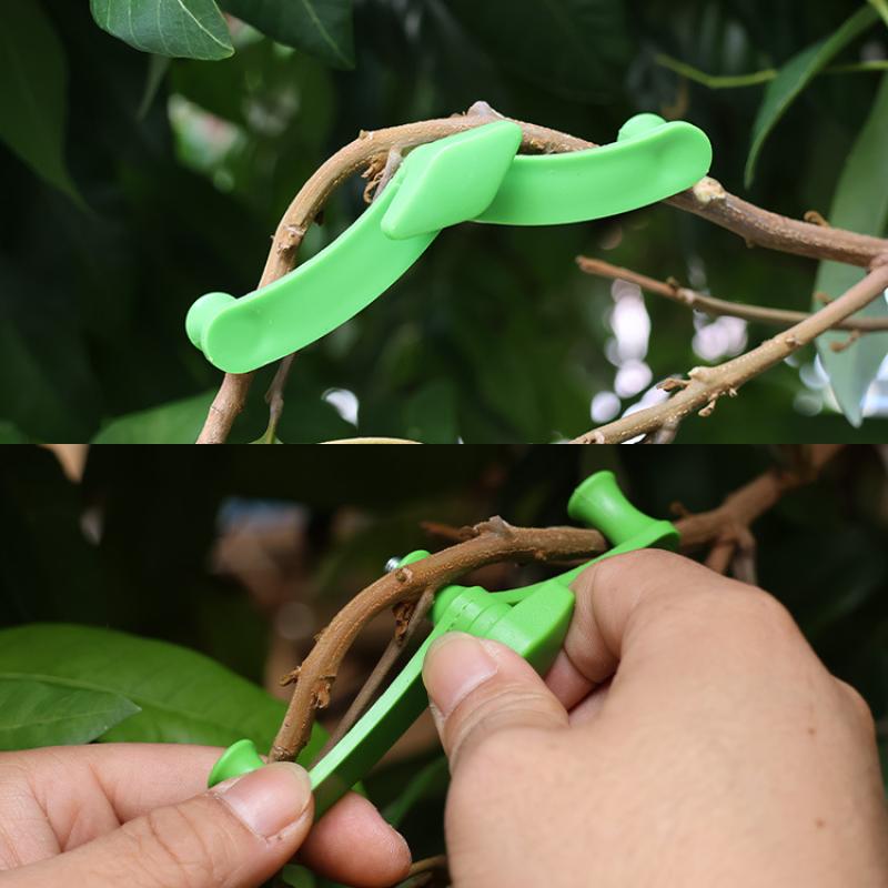 5pcs/set Tree Bending Tool Thi - Bonsai Tool Set 리뷰 및 가격