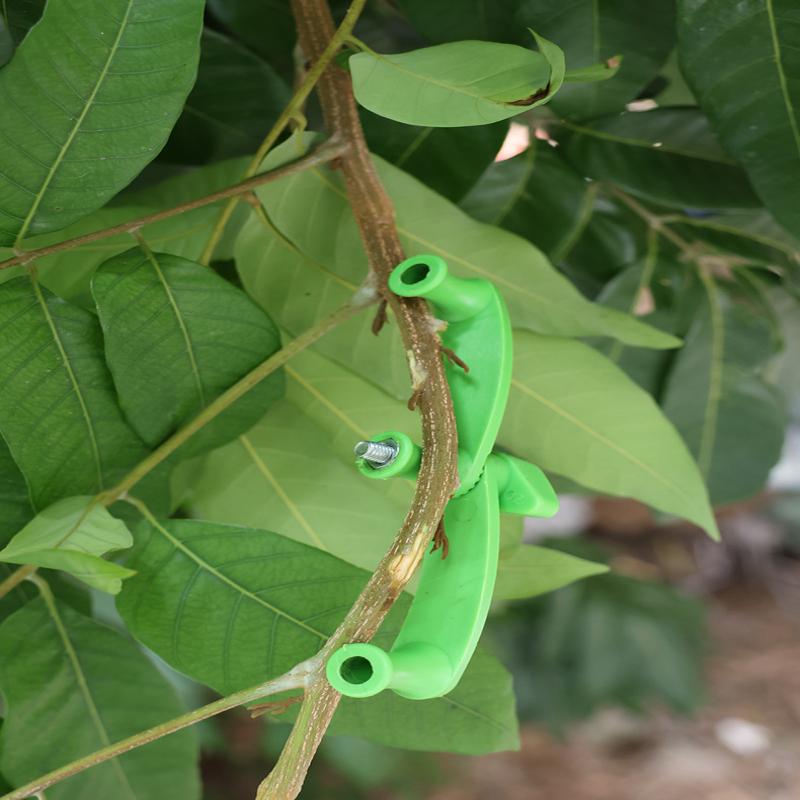5pcs/set Tree Bending Tool Thi - Bonsai Tool Set 리뷰 및 가격