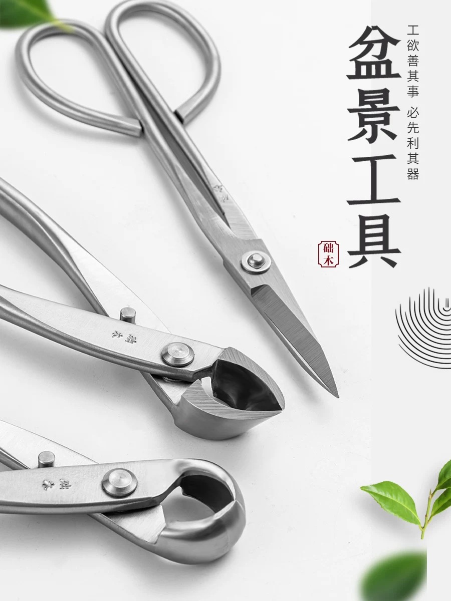 Bonsai Tools Set (3pcs) Branch - Bonsai Tool Set 리뷰 및 가격
