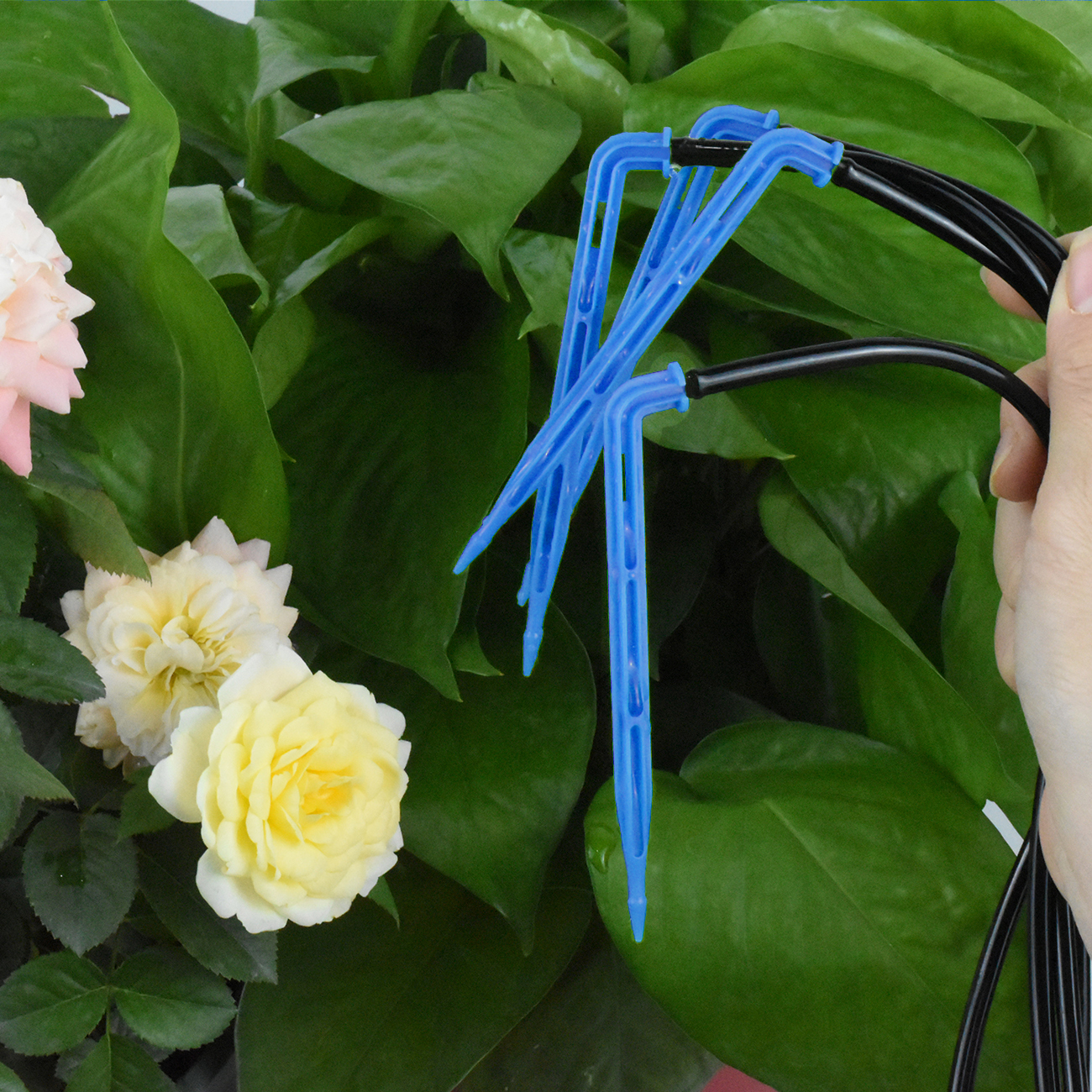KESLA Drip Irrigation Kit 10-1 - Root Watering Spike 리뷰 및 가격