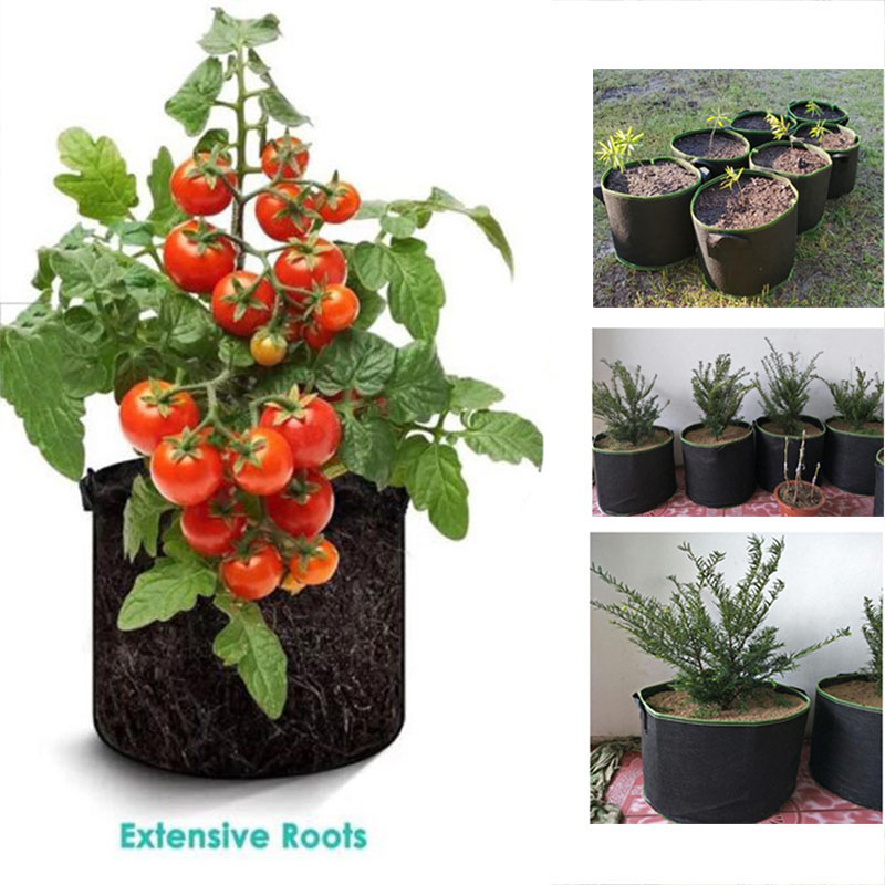20Gal grow pots vegetable flow - Gardening Tools Big 리뷰 및 가격