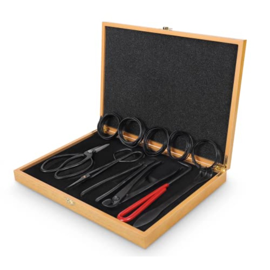 Bonsai Tools Set with Wood Box - Bonsai Tool Set 리뷰 및 가격