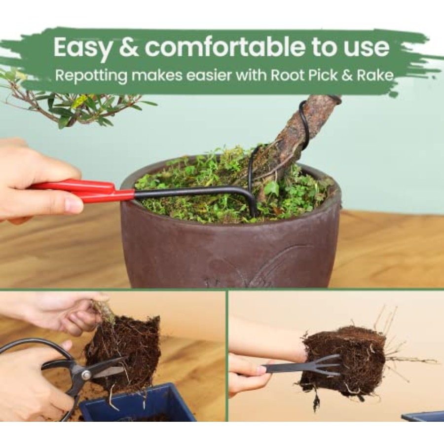 Bonsai Tools Set with Wood Box - Bonsai Tool Set 리뷰 및 가격