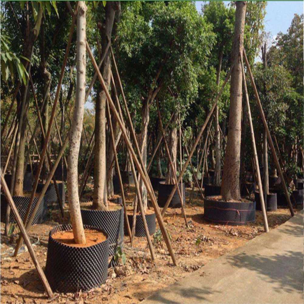 Grow Container Garden Tree Bon - Bonsai Tool Set 리뷰 및 가격