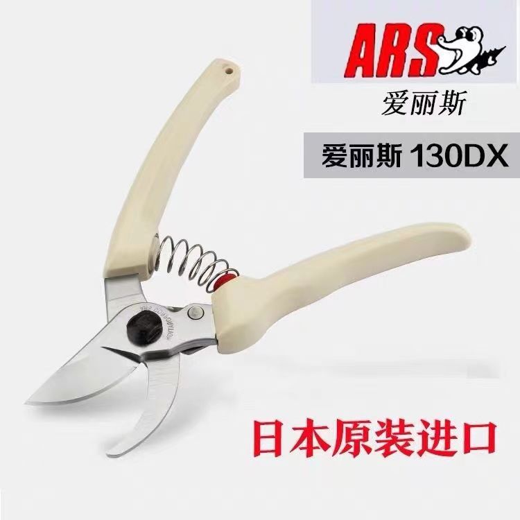Pruning scissors, garden tools - Gardening Tools In Japan 리뷰 및 가격