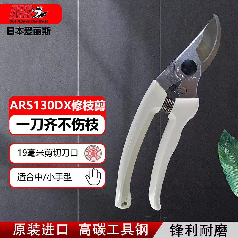 Pruning scissors, garden tools - Gardening Tools In Japan 리뷰 및 가격