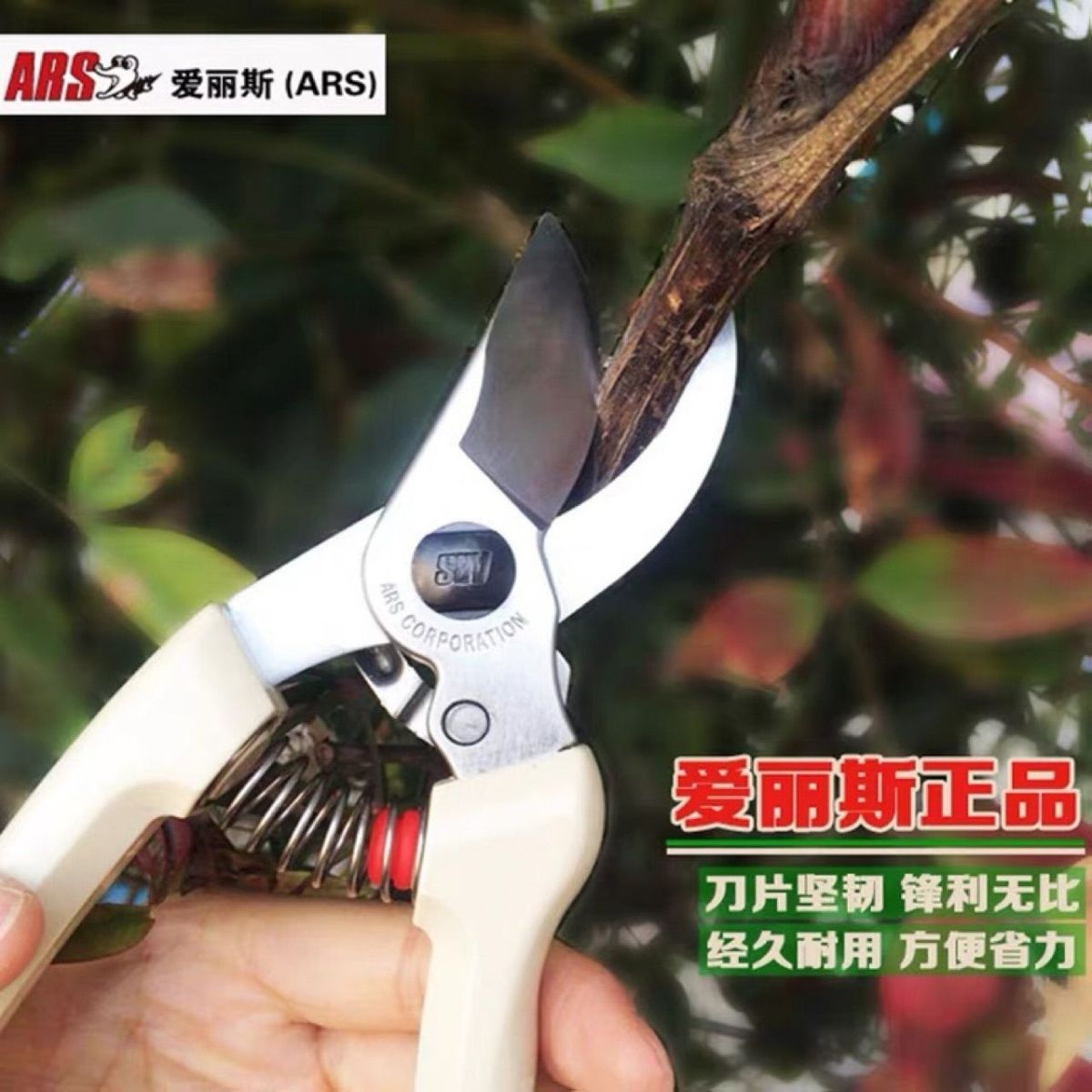 Pruning scissors, garden tools - Gardening Tools In Japan 리뷰 및 가격