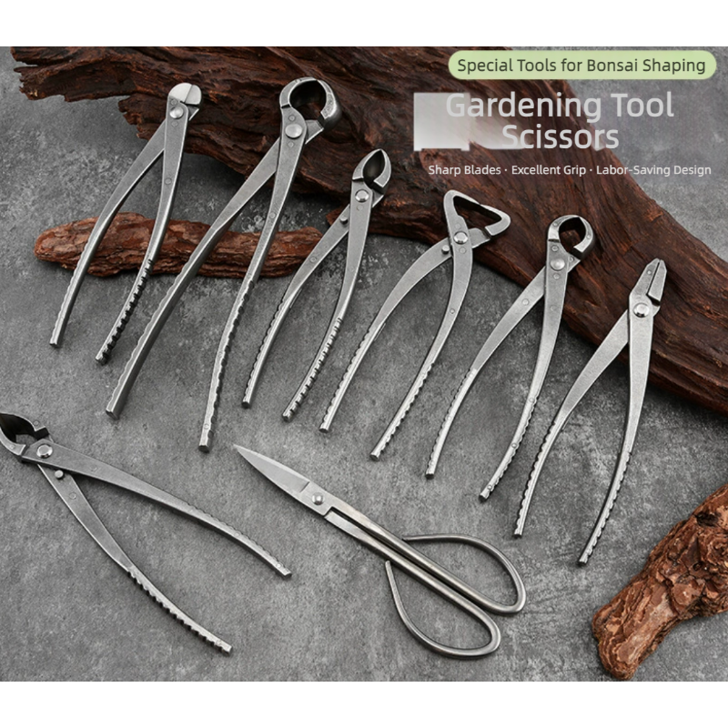 Bonsai Pruning Shears Set Gard - Bonsai Tool Set 리뷰 및 가격