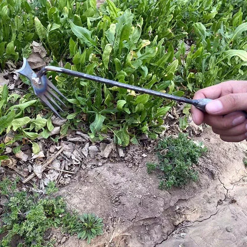 Garden Weeders Grass Hand Weed - Weed Puller 리뷰 및 가격