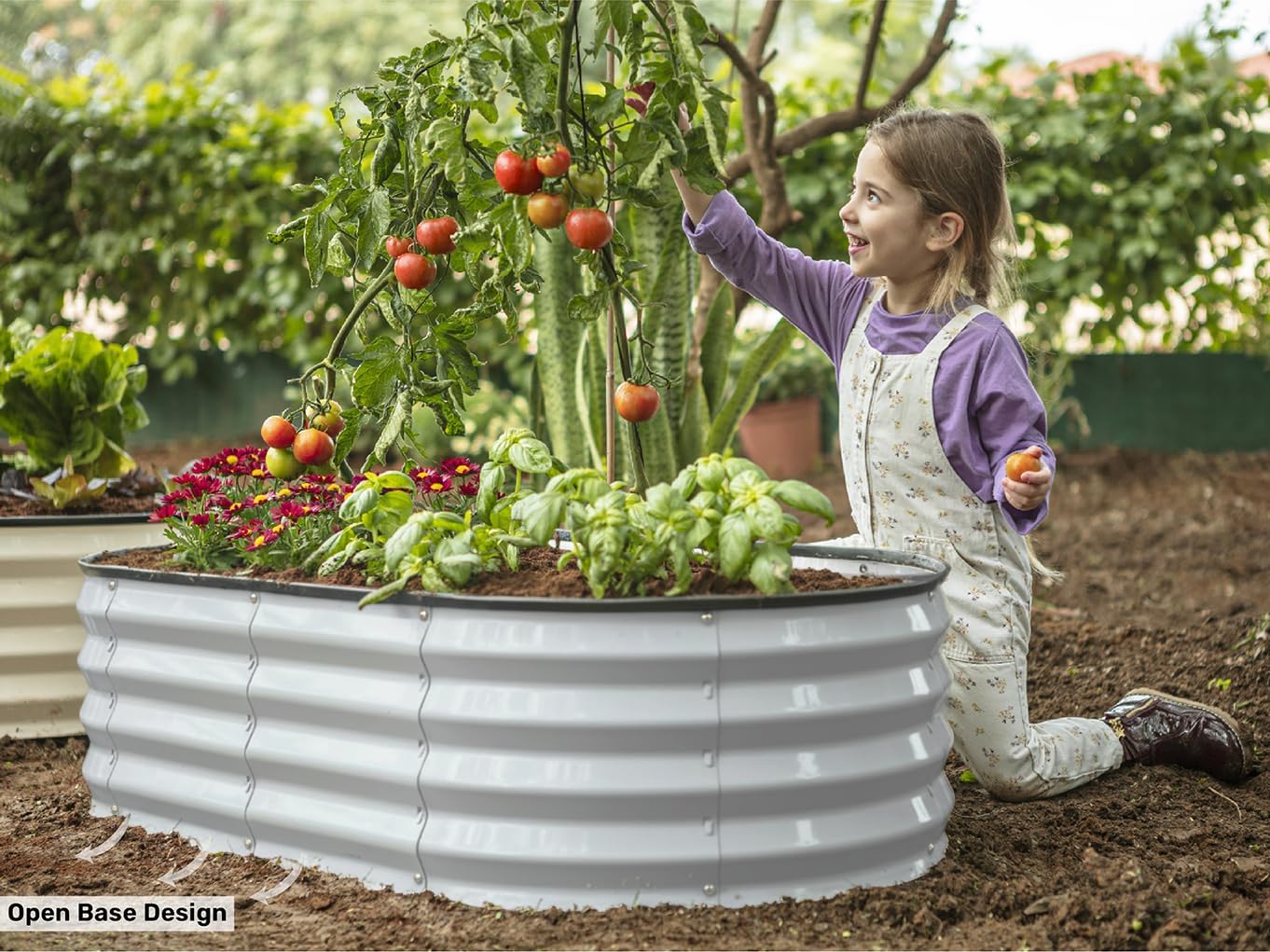 Galvanized Raised Garden Beds  - Gardening Tools Box 리뷰 및 가격