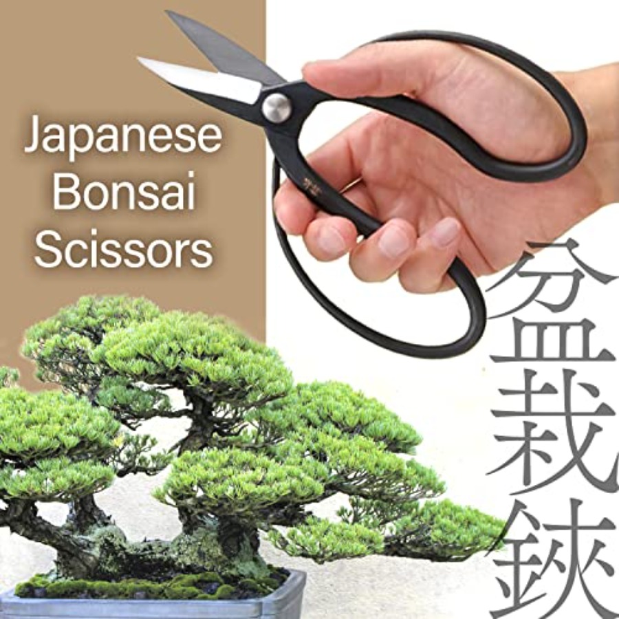 Japanese Suiryu Bonsai Scissor - Gardening Tools In Japan 리뷰 및 가격
