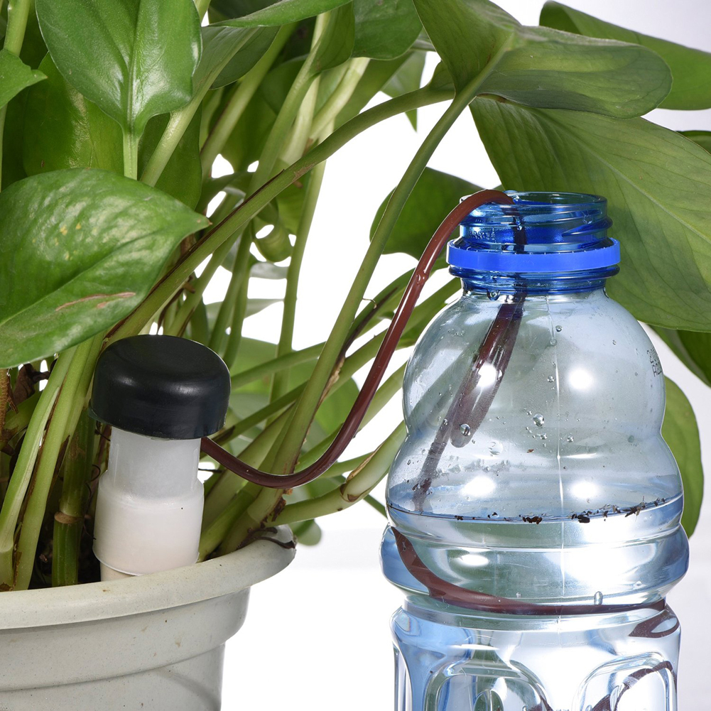 8-24Pcs Self-Watering Probes A - Root Watering Spike 리뷰 및 가격