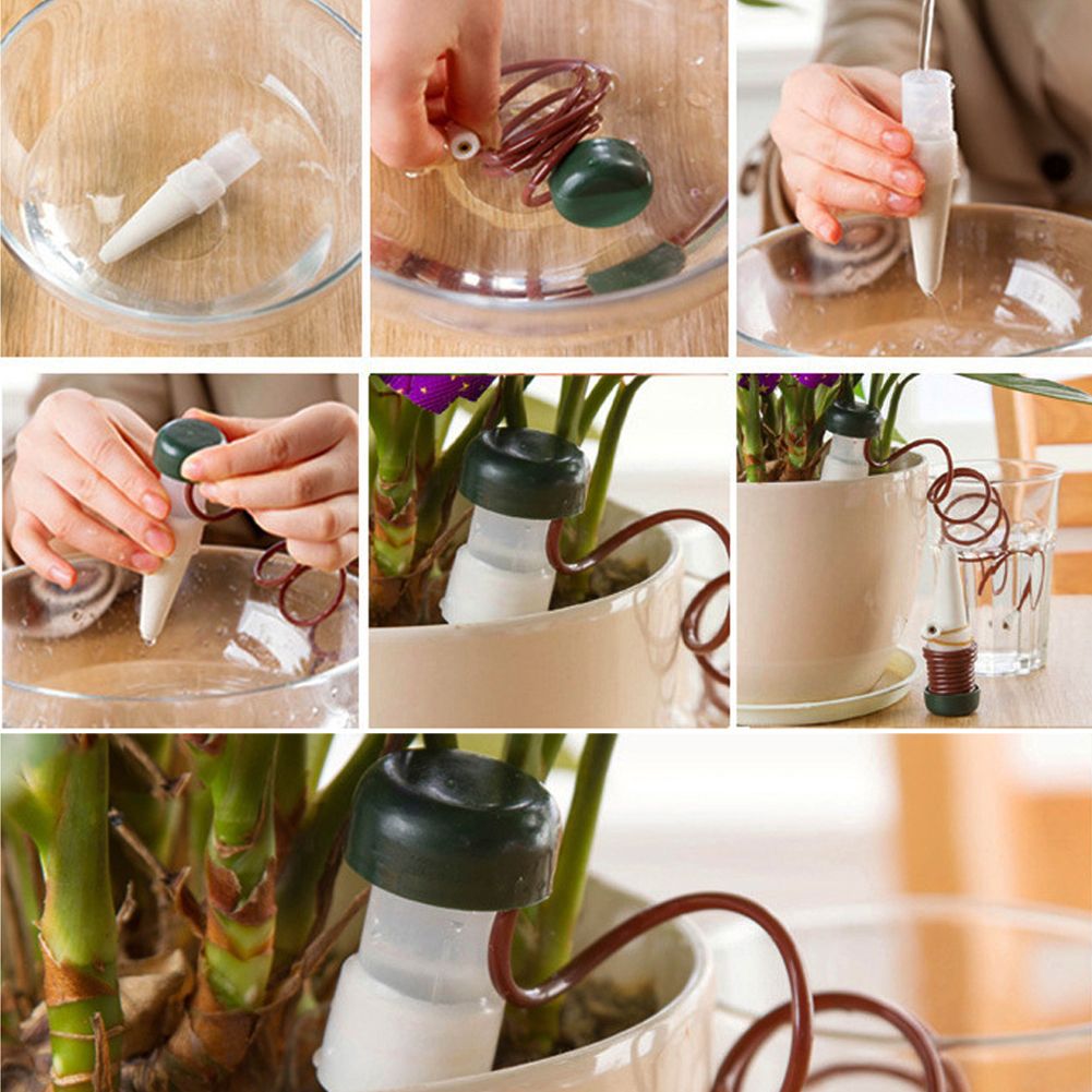 8-24Pcs Self-Watering Probes A - Root Watering Spike 리뷰 및 가격