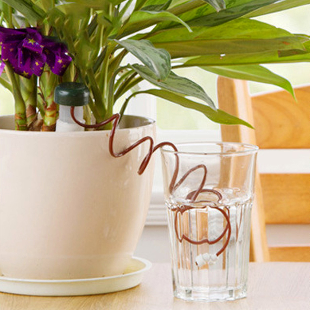 8-24Pcs Self-Watering Probes A - Root Watering Spike 리뷰 및 가격