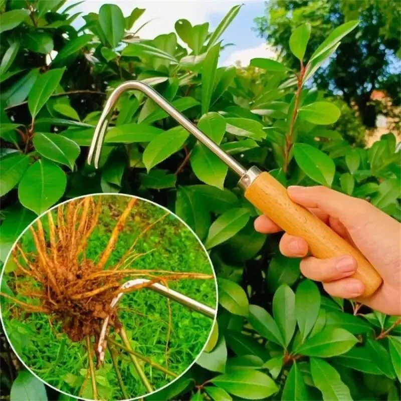 Stainless Steel Gardening Weed - Weed Puller 리뷰 및 가격