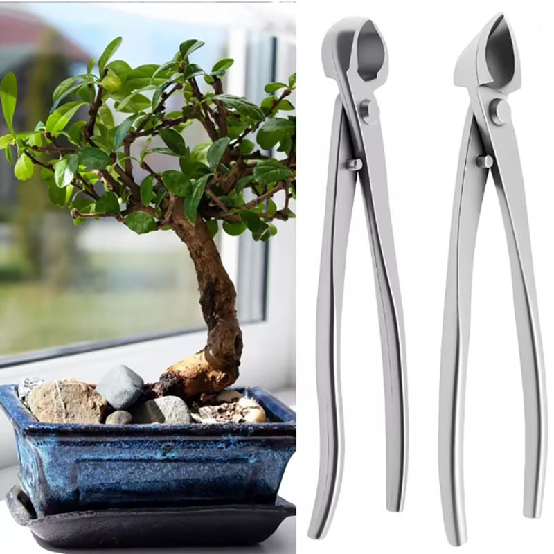 2pcs 210mm Stainless Steel Bon - Bonsai Tool Set 리뷰 및 가격