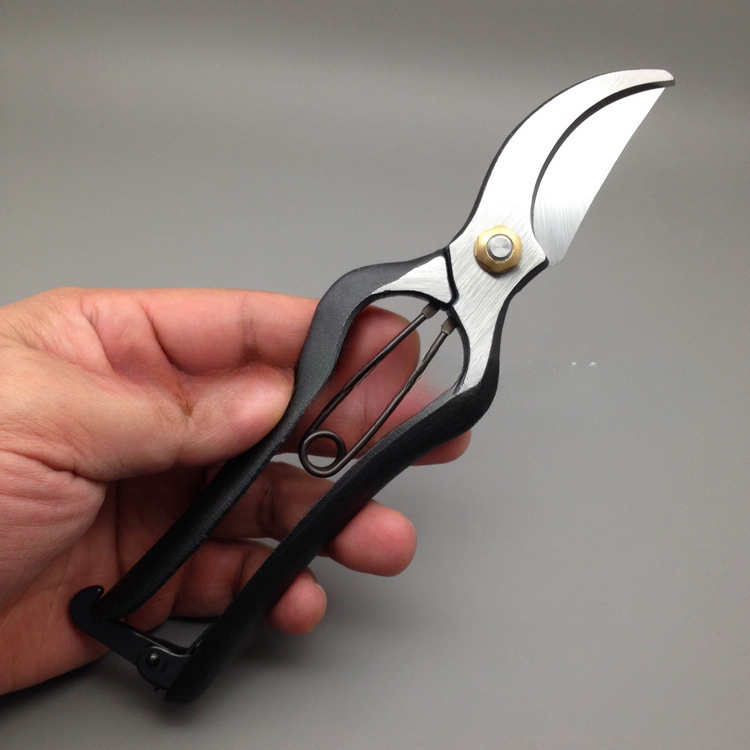 200MM Branch Scissors, Importe - Gardening Tools In Japan 리뷰 및 가격