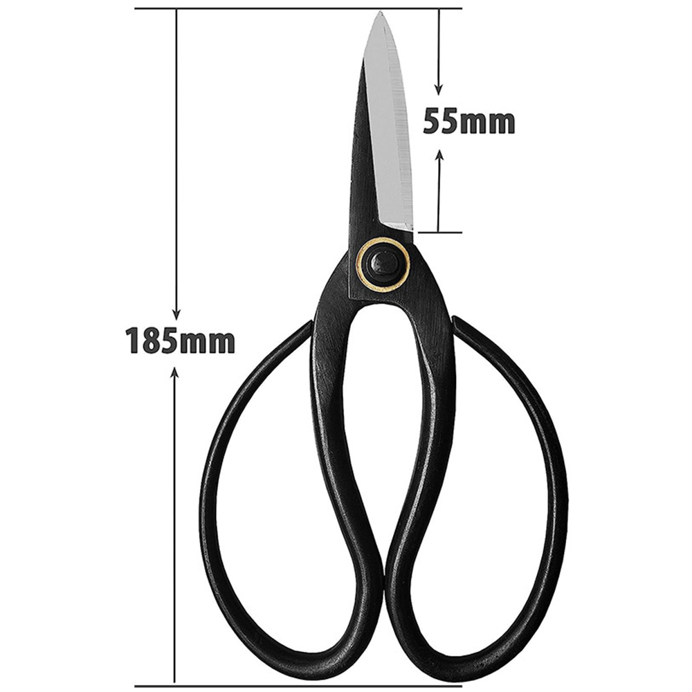 Professional Bonsai Scissors T - Bonsai Tool Set 리뷰 및 가격