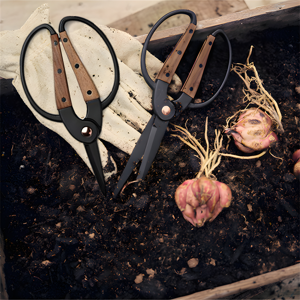 1PC，Professional Grade Root Pr - Bonsai Tool Set 리뷰 및 가격