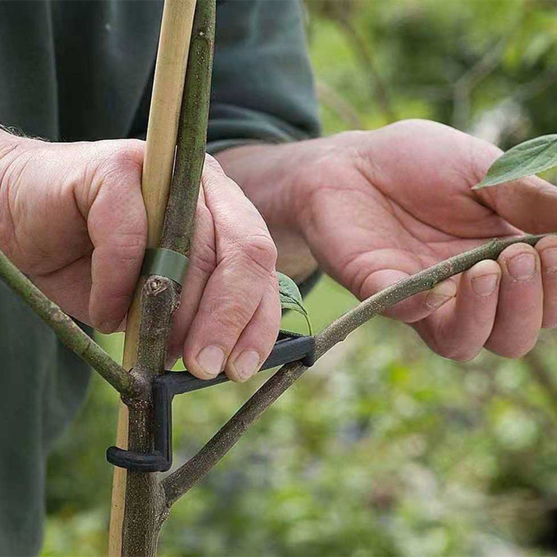 Fruit Tree Branch Puller Plant - Root Watering Spike 리뷰 및 가격