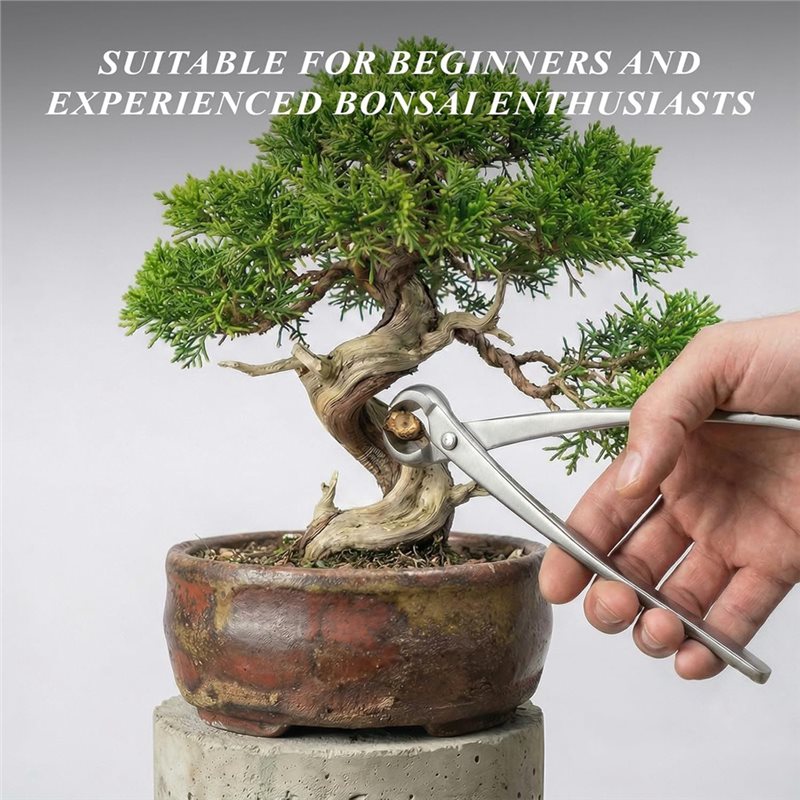 AWAH Bonsai Tools Set- High-Ca - Bonsai Tool Set 리뷰 및 가격