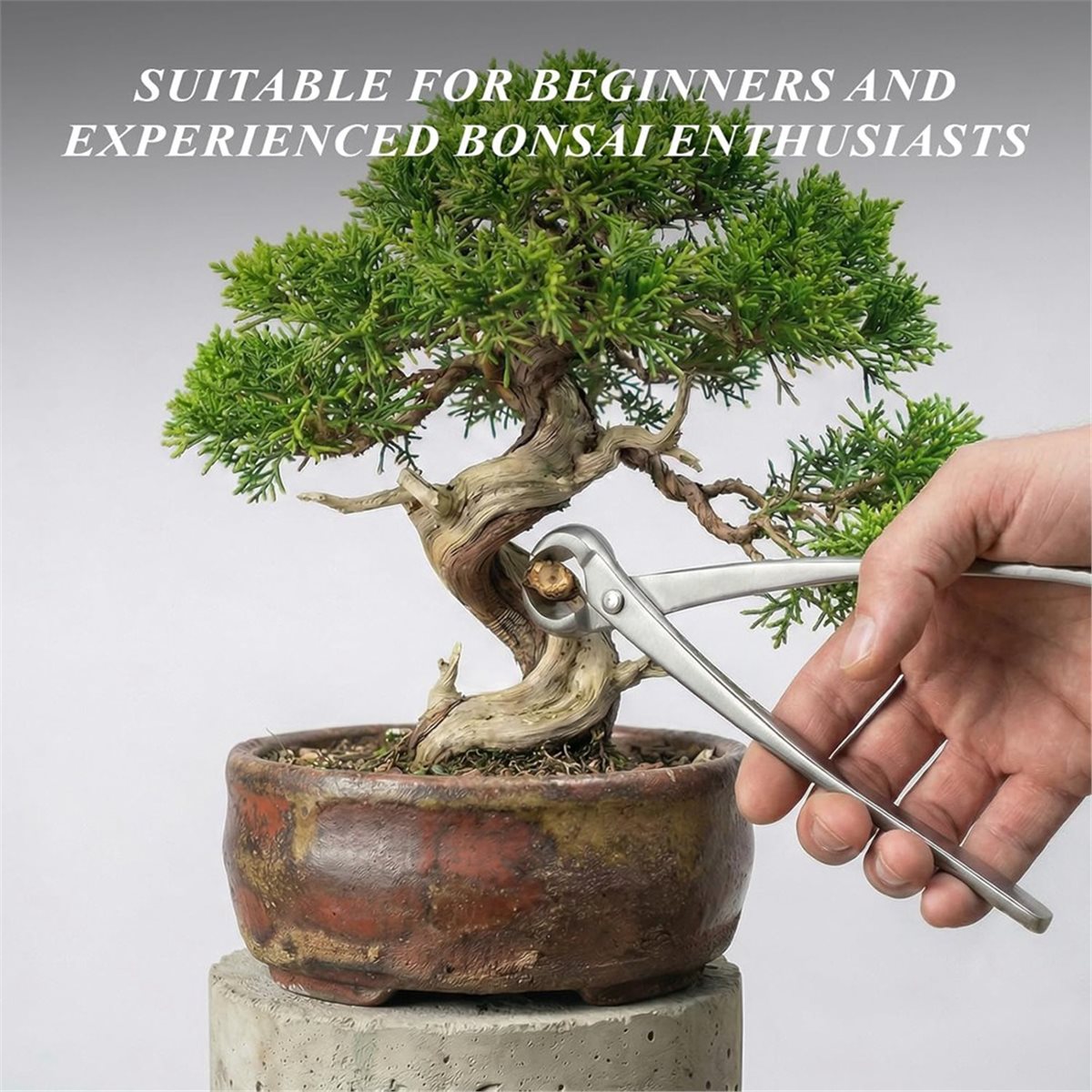 AWAH Bonsai Tools Set- High-Ca - Bonsai Tool Set 리뷰 및 가격