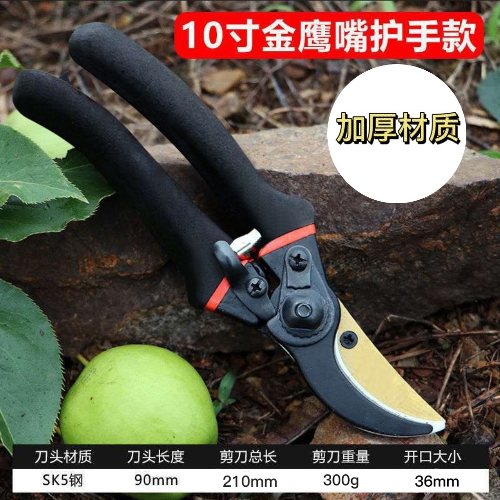 Japan Thickened SK5 Steel Bran - Gardening Tools In Japan 리뷰 및 가격