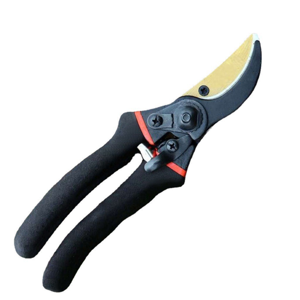 Japan Thickened SK5 Steel Bran - Gardening Tools In Japan 리뷰 및 가격