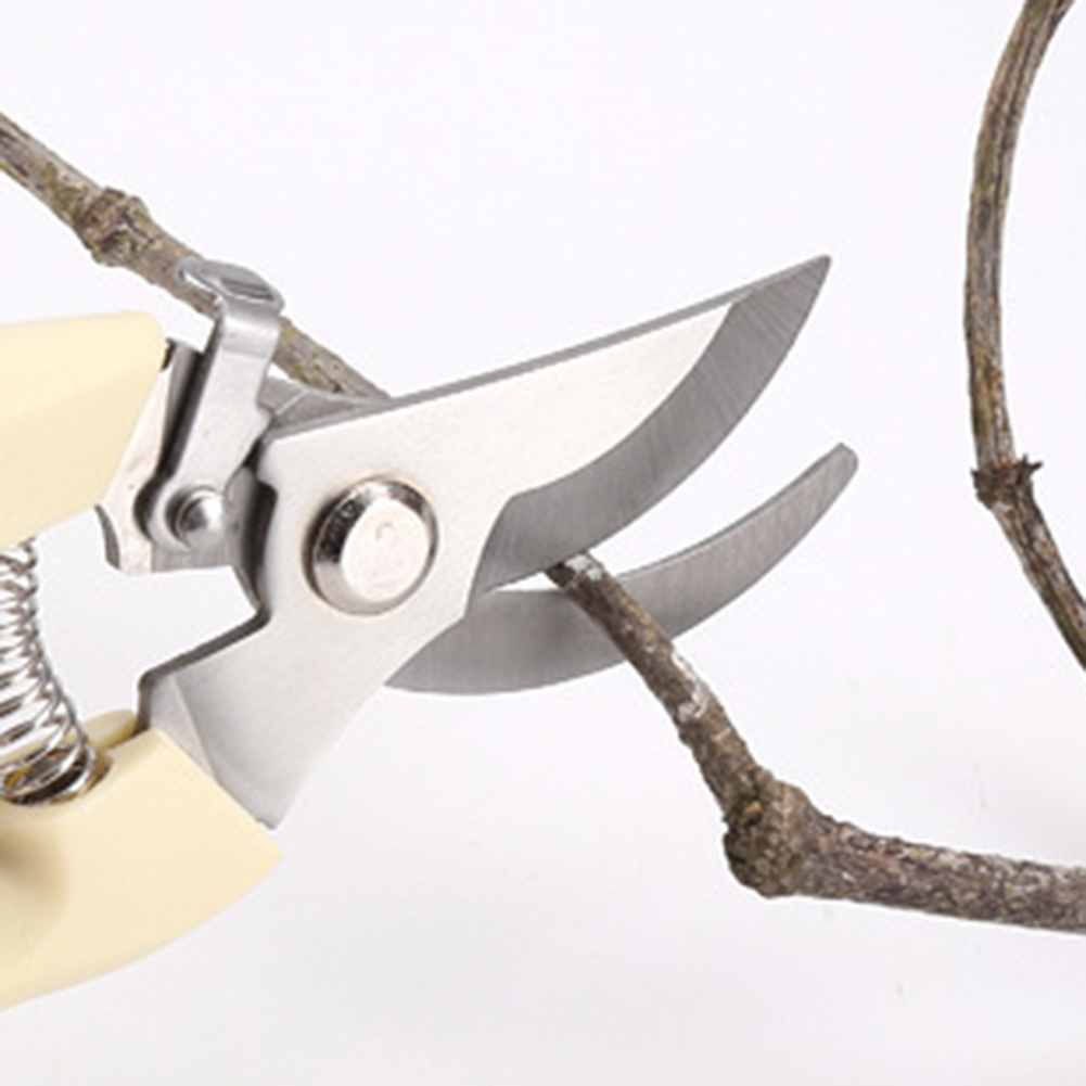 Pruner Shears Hand Tools Bonsa - Bonsai Tool Set 리뷰 및 가격
