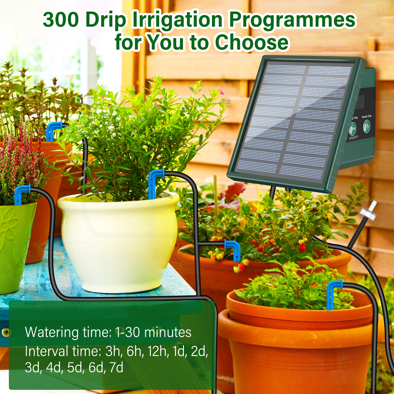 Solar Drip Irrigation Watering - Root Watering Spike 리뷰 및 가격