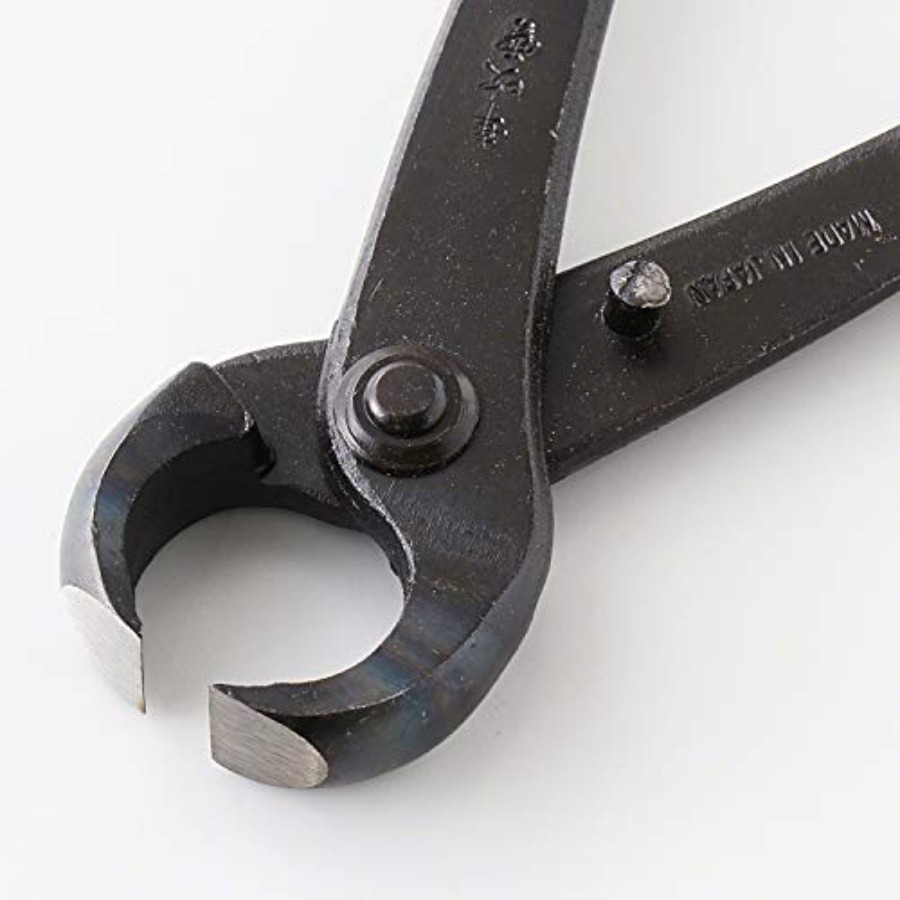 Hand Forged Bonsai Tree Trunk  - Gardening Tools Made In Japan 리뷰 및 가격