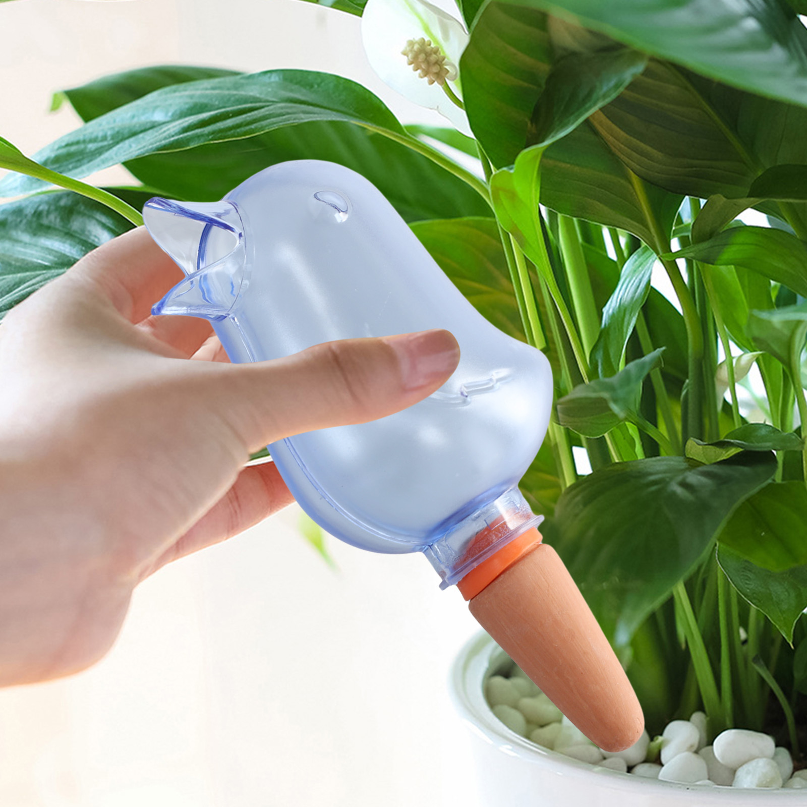 200ml Bird Automatic Water Dis - Root Watering Spike 리뷰 및 가격