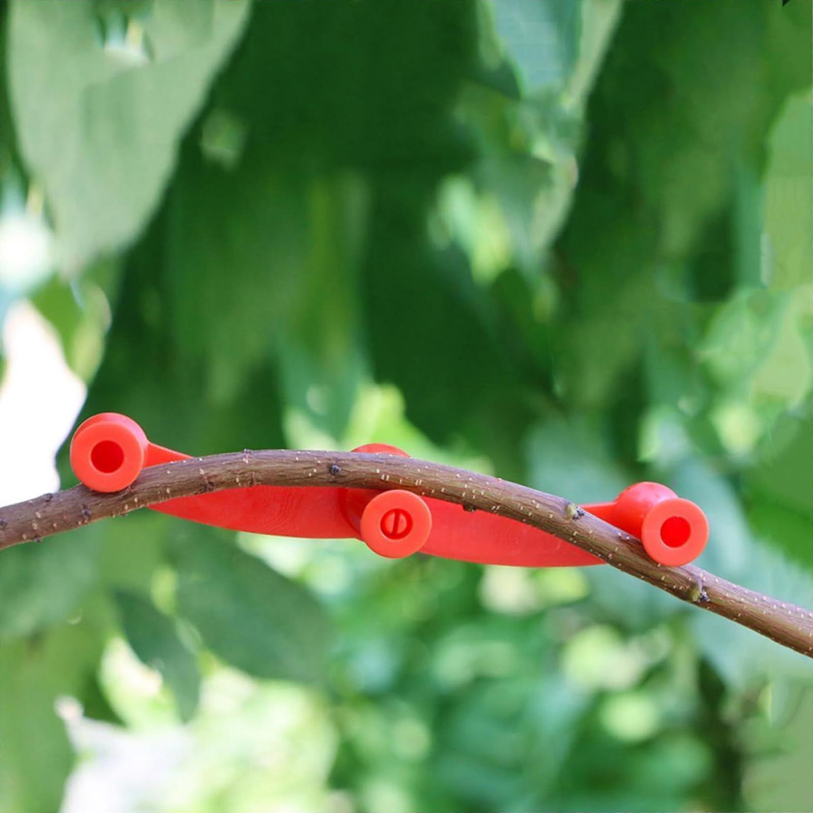 10pcs Plant Training Clips Tre - Gardening Tools Lowes 리뷰 및 가격