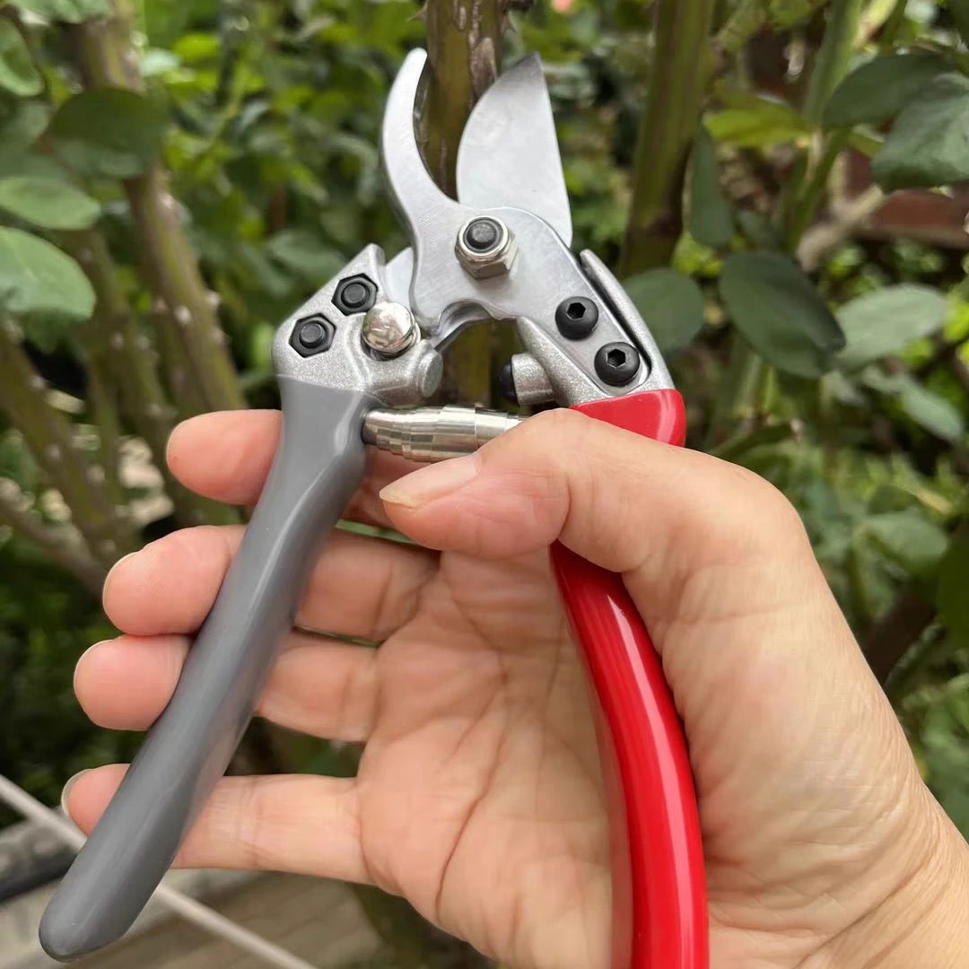 Japan Vvt New Sk5 Strong Garde - Gardening Tools In Japan 리뷰 및 가격