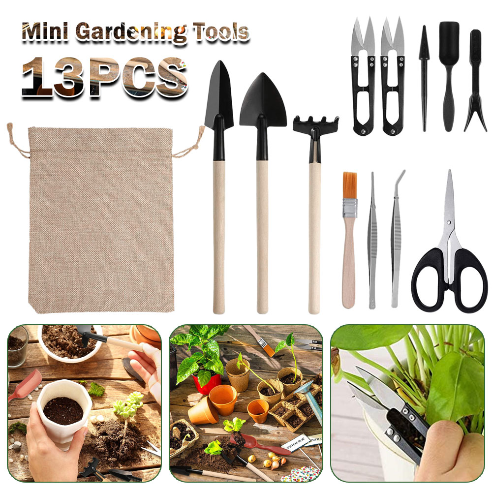 Succulent Plants Tools Mini Ga - Bonsai Tool Set 리뷰 및 가격