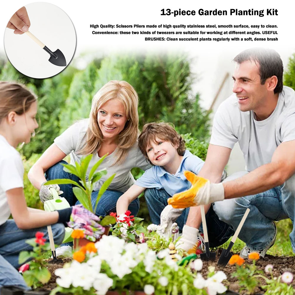 Succulent Plants Tools Mini Ga - Bonsai Tool Set 리뷰 및 가격