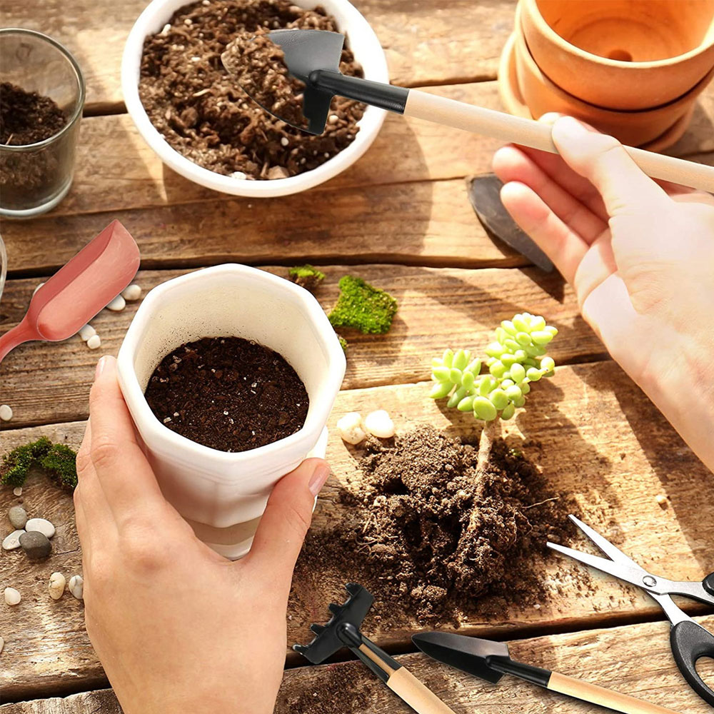 Succulent Plants Tools Mini Ga - Bonsai Tool Set 리뷰 및 가격